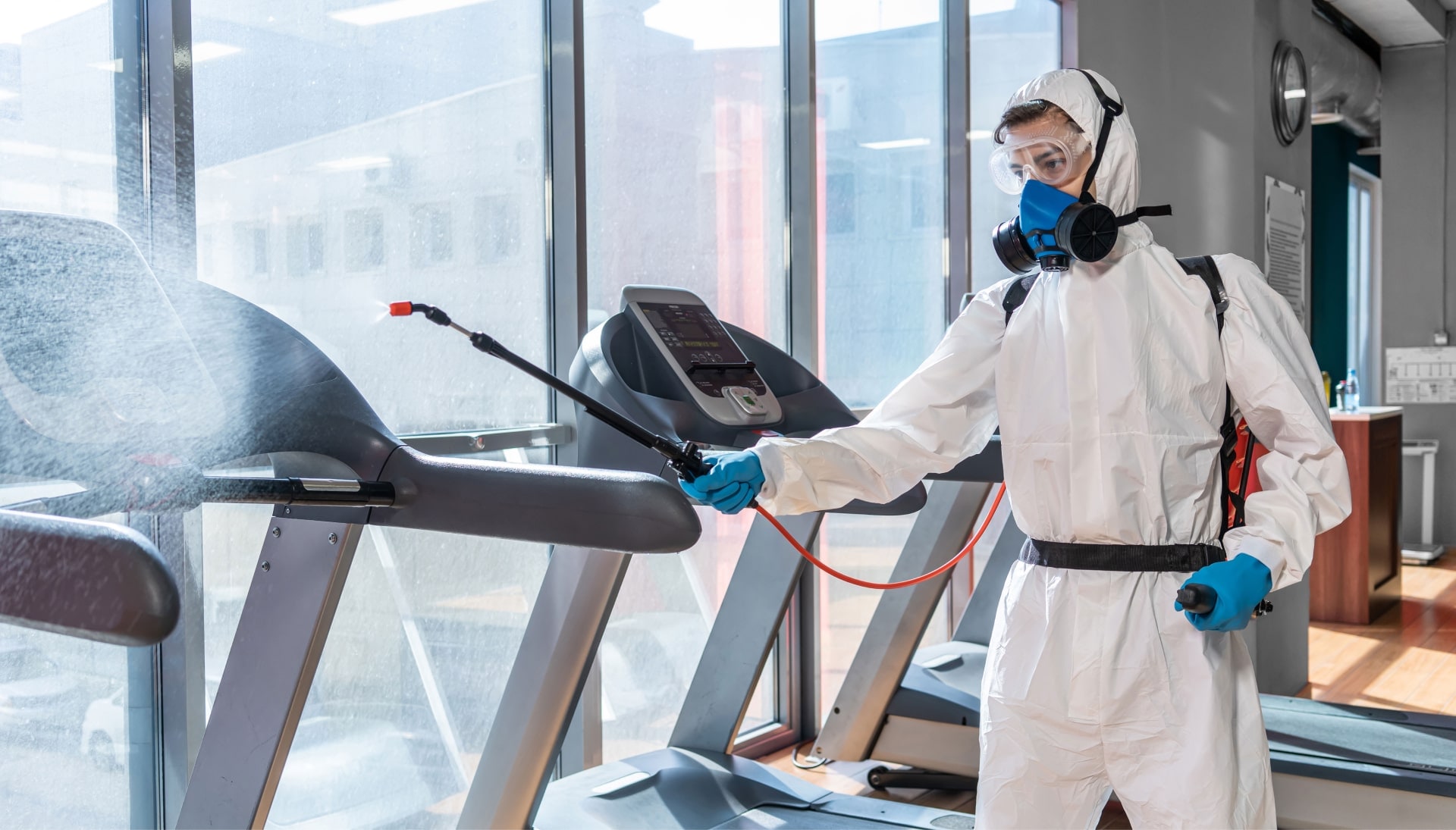 Commercial Mold Removal Services in Bronx