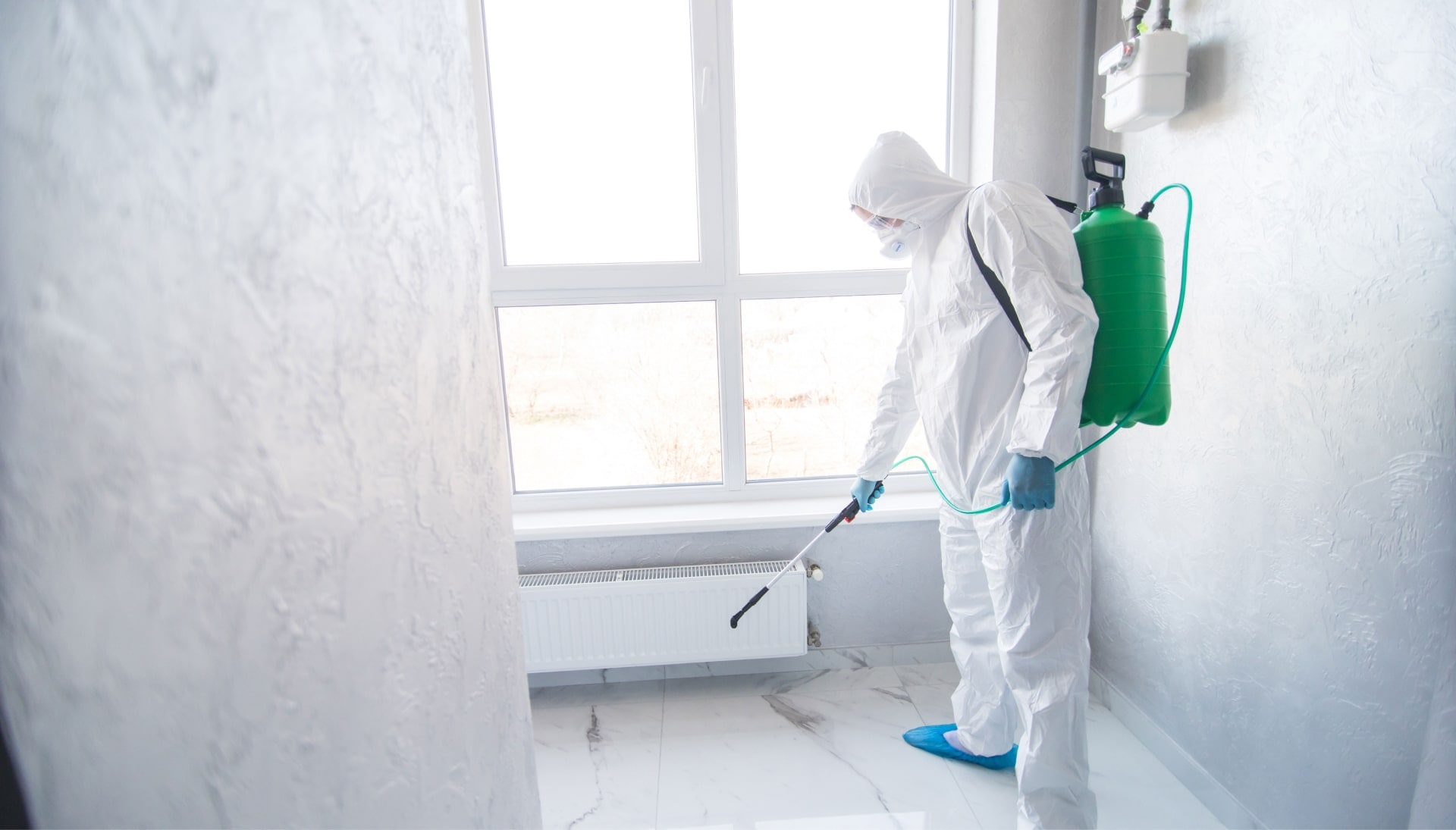 Mold Inspection Services in Bronx